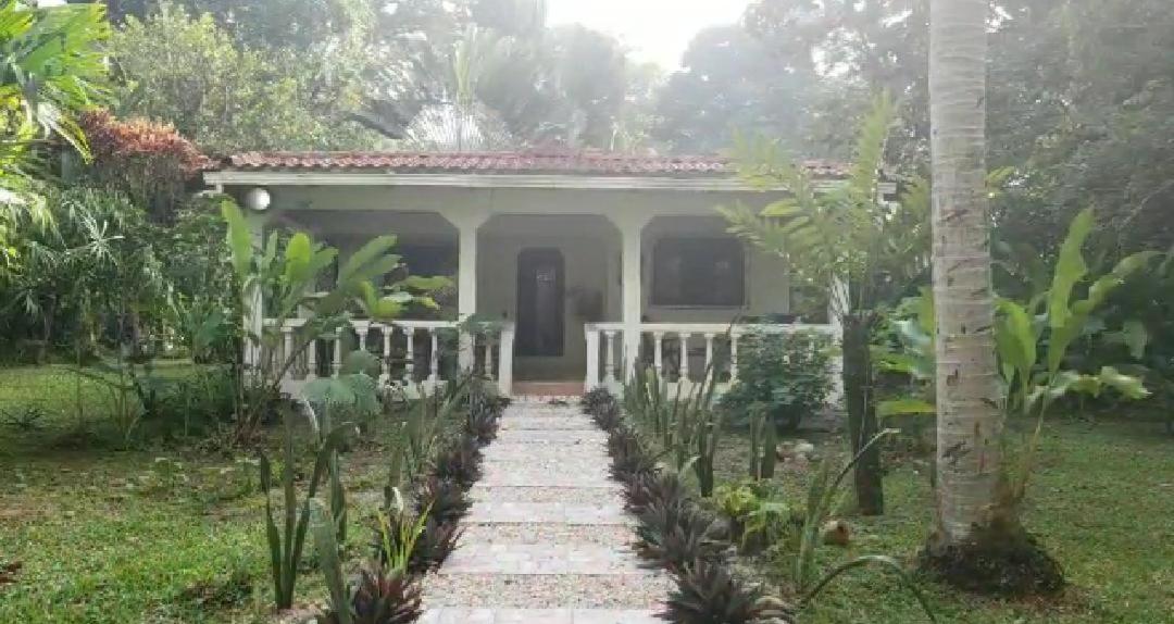Hostal Cecilia Puerto Viejo de Talamanca Εξωτερικό φωτογραφία
