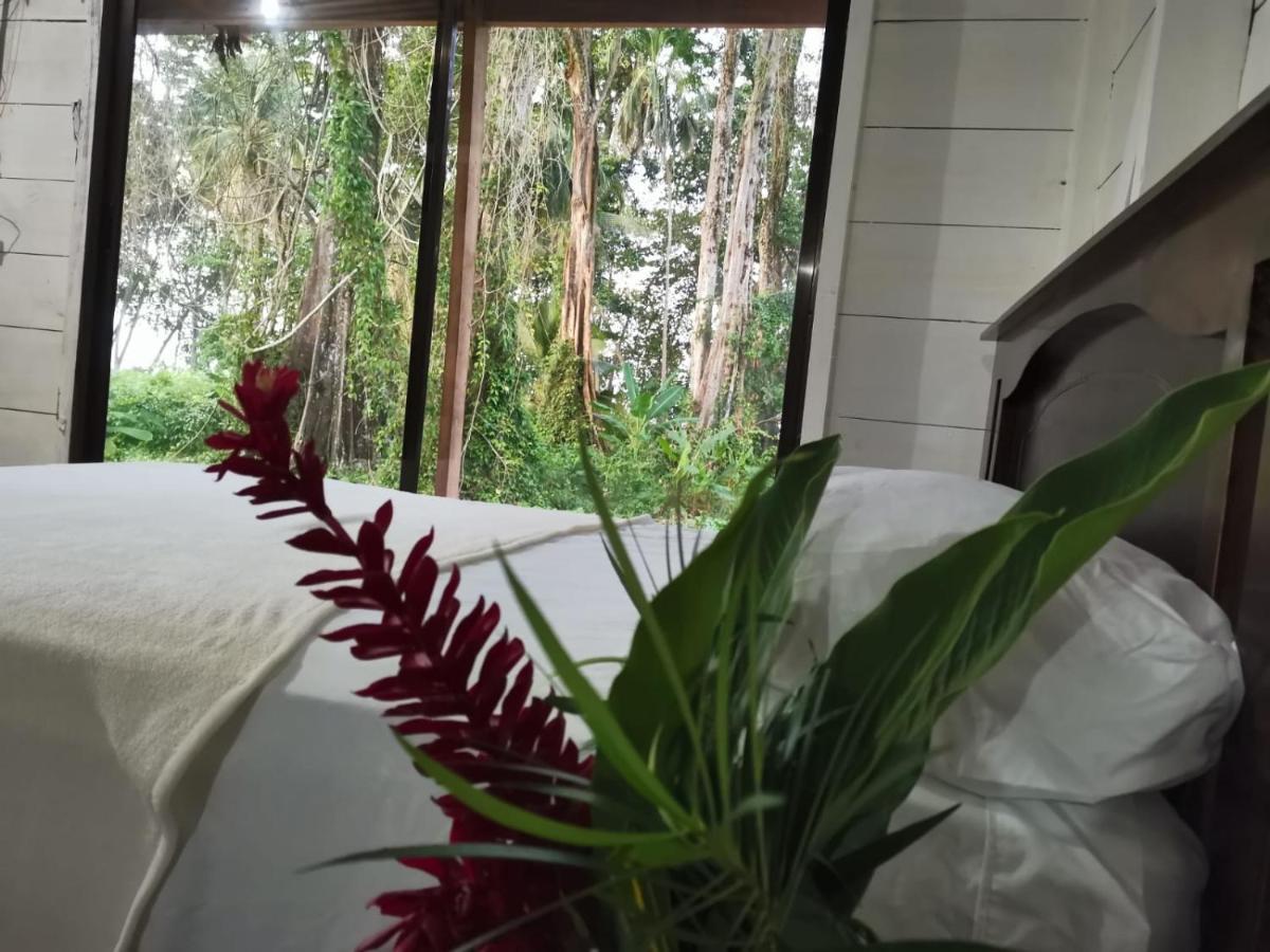 Hostal Cecilia Puerto Viejo de Talamanca Εξωτερικό φωτογραφία