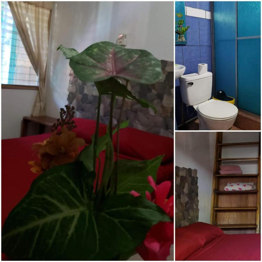 Hostal Cecilia Puerto Viejo de Talamanca Εξωτερικό φωτογραφία